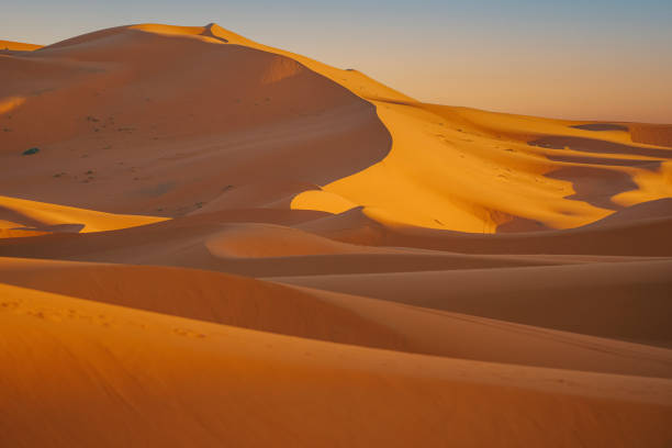 Evening Erg Chebbi Dunes, Sahara Desert in Morocco