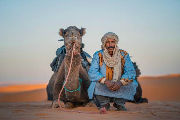 marokkanischer kameltreiber hockt in der sahara mit kamel in die kamera - journey camel travel desert stock-fotos und bilder
