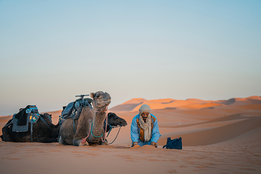 Moroccan camel driver resting in Sahara Desert with Camel