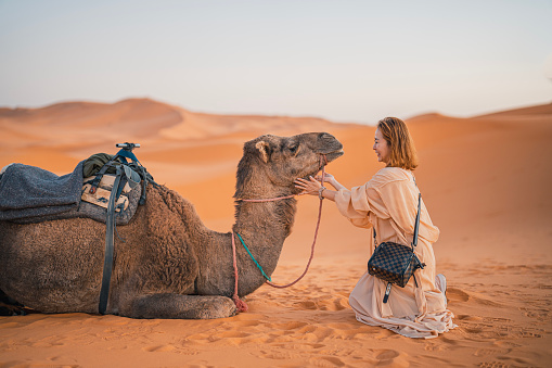 Asian Chines female tourist touching camel in Sahara desert
