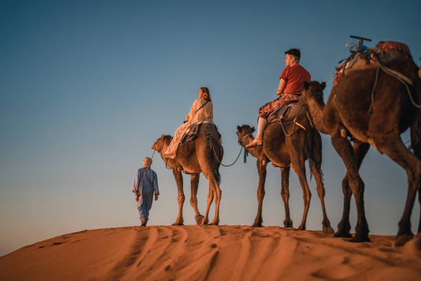 marokkanischer kameltreiber führt asiatische chinesische touristin an, die abends die sahara durchquert - journey camel travel desert stock-fotos und bilder