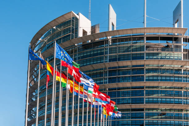 il parlamento europeo a strasburgo - city government town hall government building foto e immagini stock