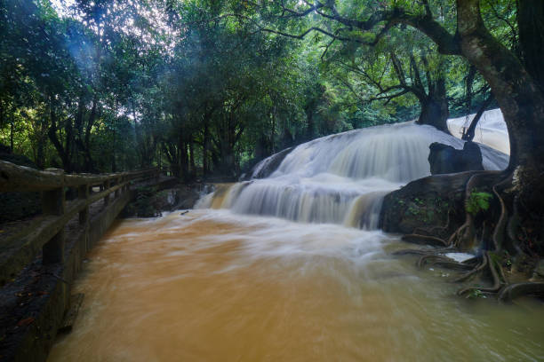 숲의 푸른 나무 아래 폭포 - tropical rainforest thailand root waterfall 뉴스 사진 이미지