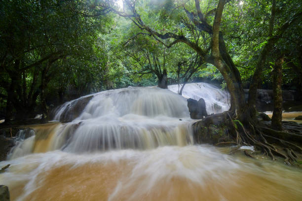 wodospad pod zielonym drzewem w lesie - tropical rainforest thailand root waterfall zdjęcia i obrazy z banku zdjęć