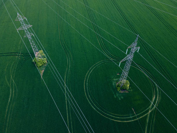 Aerial view of electric poles in green wheat fields. Renewable energy. stock photo