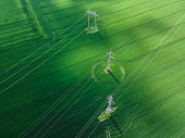 Aerial view of electric poles in green wheat fields. Renewable energy.