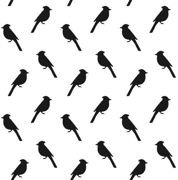Vector Seamless Pattern Of Hand Drawn Doodle Sketch Blue Jay Bird Silhouette  Stock Illustration - Download Image Now - iStock