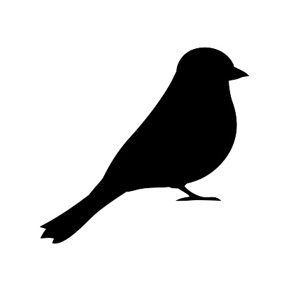 Vector flat hand drawn tit bird silhouette isolated on white background