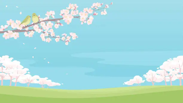 Vector illustration of Japanese spring landscape. Vector illustration of pink cherry blossom tree and cute little birds.