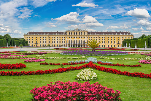 Vienna, Austria - June 24, 2015: spring flower in the garden at Schonbrunn Palace