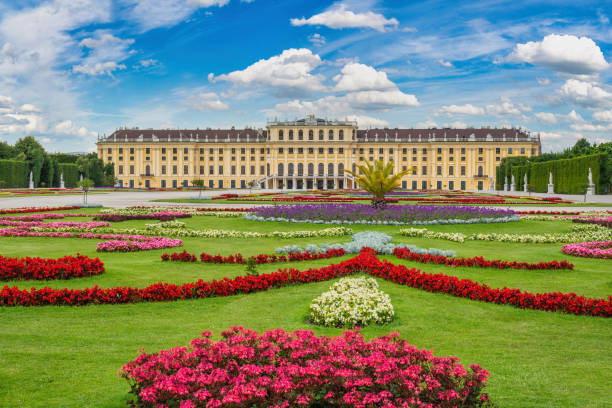 Vienna, Austria - June 24, 2015: spring flower in the garden at Schonbrunn Palace stock photo