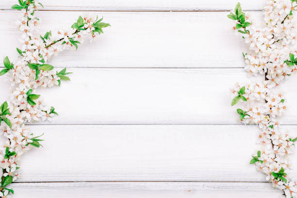 istock May flowers spring blossom. April floral nature blooming tree on wooden background. Easter Sunny day. Orchard abstract blurred background. Springtime. 1463961183