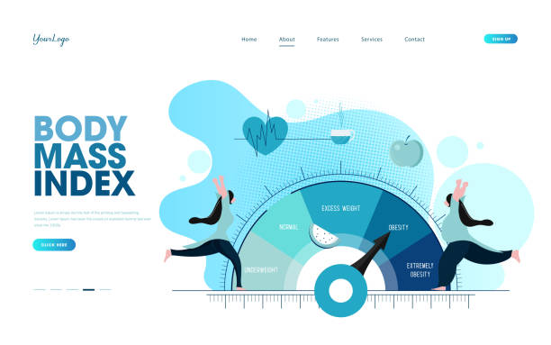 wskaźnik masy ciała. otyła kobieta, wysportowana i gruba dama oraz wykres zakresu bmi. - weight scale dieting weight healthcare and medicine stock illustrations