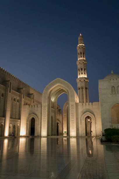 Grand mosque entrance at night with illuminated walkway, tower and cupola.