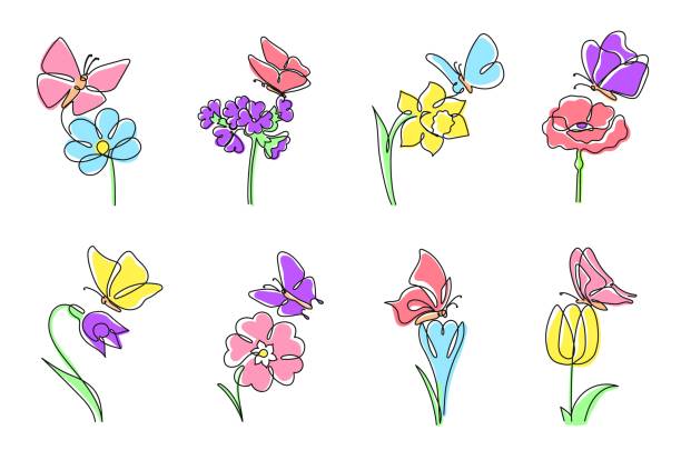 ilustraciones, imágenes clip art, dibujos animados e iconos de stock de una línea florece con mariposas. narciso y tulipán con mariposa en la parte superior, flor floreciente y conjunto de ilustración de vectores de primavera minimalista - daffodil flower silhouette butterfly