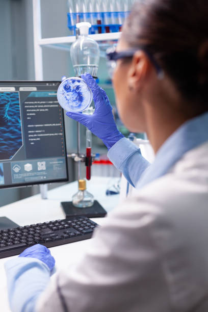 istock Biologist woman looking at bacteria virus using medical petri dish working at genetic infection experiment 1464005113