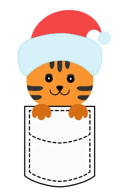 Vector illustration of A tiger cub in your pocket