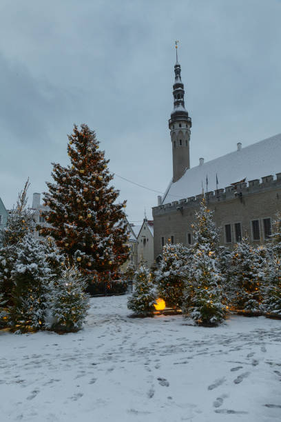 エストニア、タリン- 2021年1月4日:冬の不機嫌な日の旧市街の通りの眺め - steeple spire national landmark famous place ストックフォトと画像