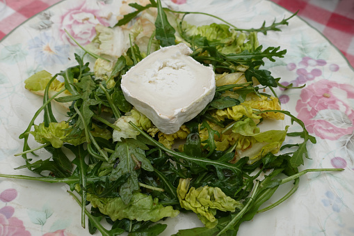 Varied green salad lettuce and arugula seasoned  served with goat cheese