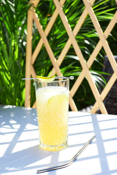 istock Refreshing melon smoothie with ice and lime in the sun. Summer cooling drinks. 1464017745