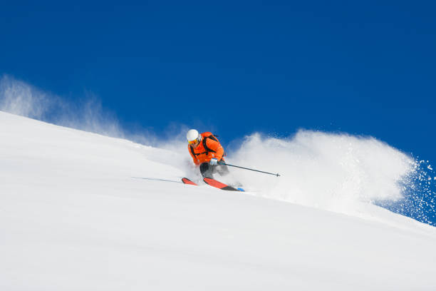 istock Free-rider skier alone in powder snow 1464023157