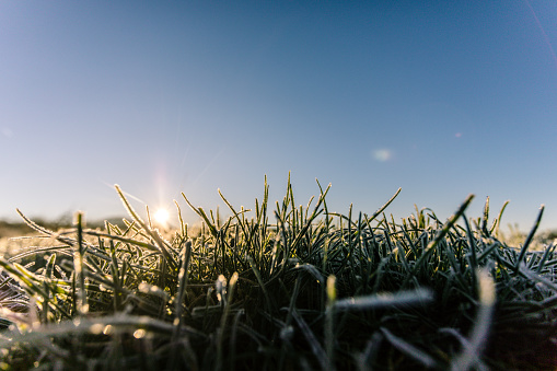 Landscape of a field with frozen grass in the foreground, seen on a winter morning in  February, captured in North Rhine-Westphalia, Germany