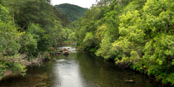 istock Fragas do Eume Natural Park, Pontedeume, Spain 1464038416
