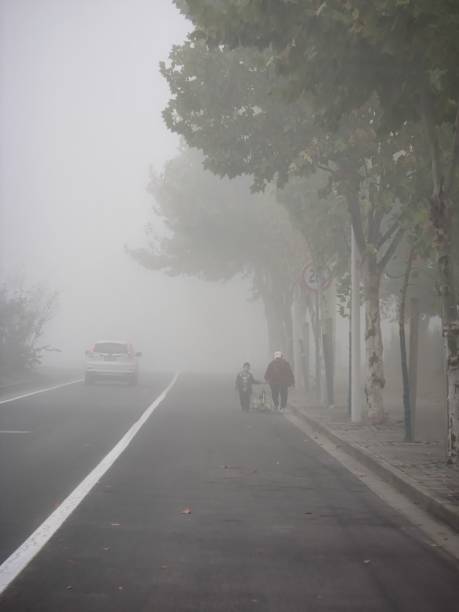 istock Morning fog 1464039118