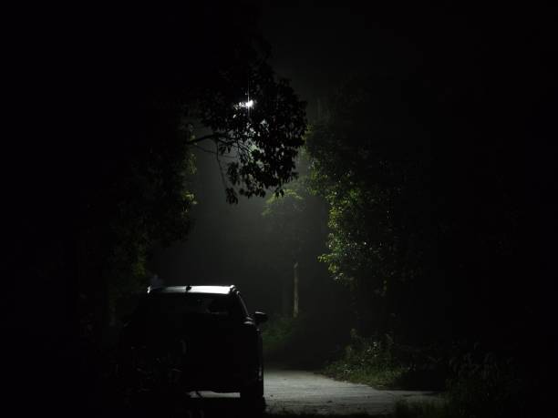 istock the dim light of night 1464039413