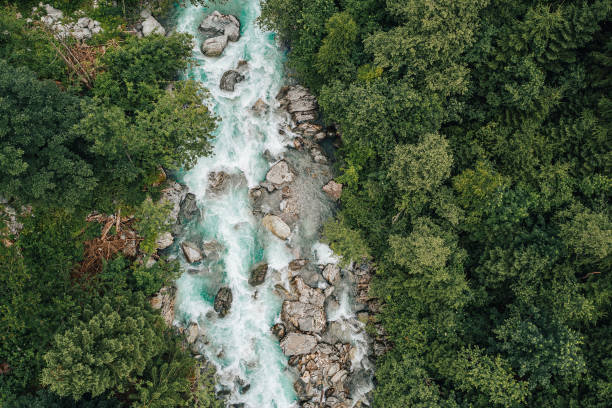 istock Drone photo of a wild river in a forest. 1464048242