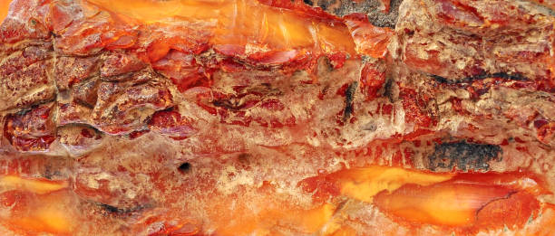 istock Baltic amber, resin segments, fossil 1464050062