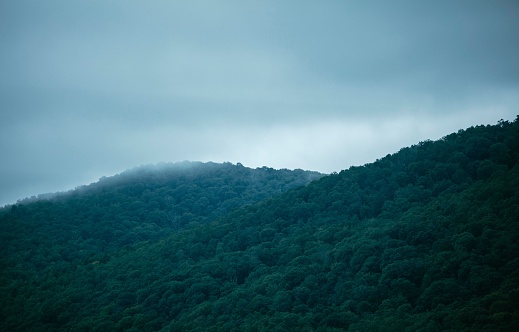 A drone view of the mountains full of green trees covered with fog under a cloudy sky