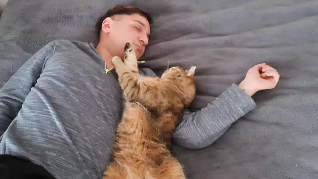 Man with his cat sleeping in bed