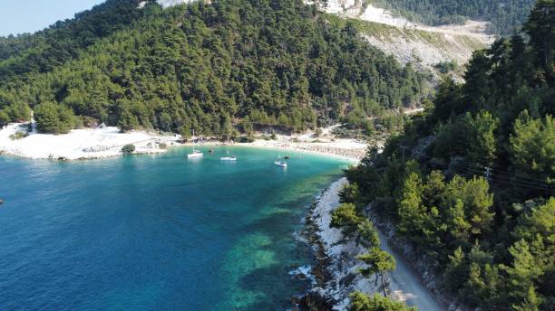 istock Drone shot over seashore with sandy beach and green trees 1464053061