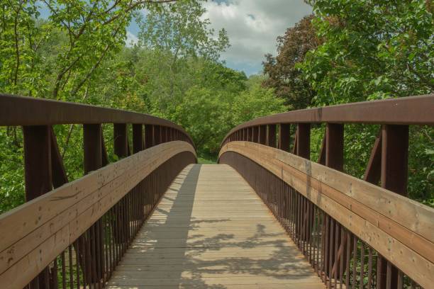 istock Wooden bridge surrounded by dense trees 1464057067