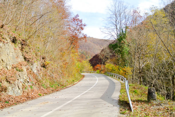 istock Curvy road through forest in autumn (with trees with colorful yellow, orange, brown, green leaves) 1464057088