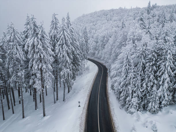 istock winter road in the forest in the mountains 1464057138