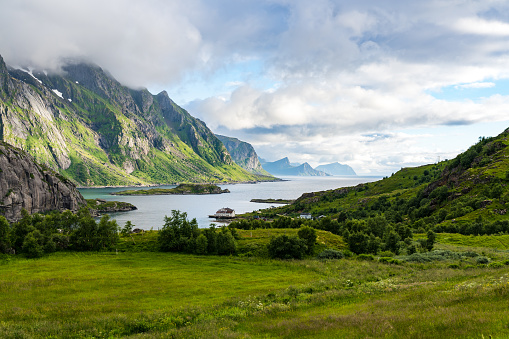 Green fjord in Norway with meadow in the foreground and mist in the mountains