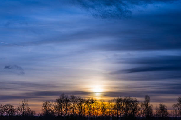 A beautiful view of a landscape with trees at sunset
