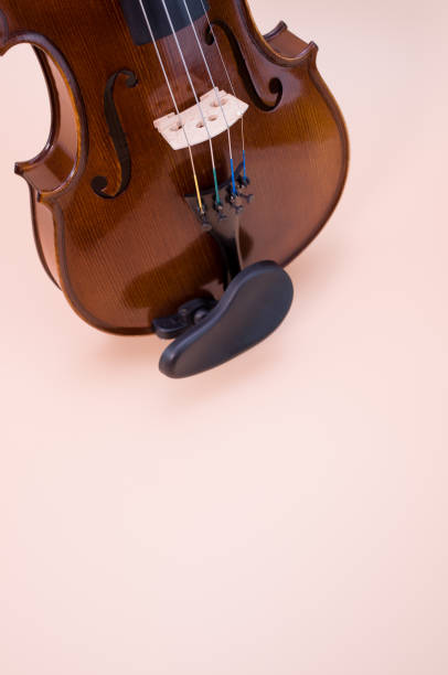 istock Violin isolated on a pink background with free space for text 1464062192