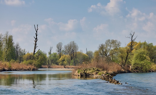 The river of Isar in Bavaria, Germany during spring time with trees in distance