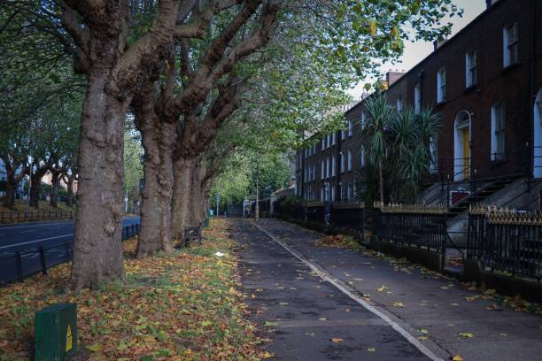 istock Sidewalk lined with buildings and trees in the fall 1464063437