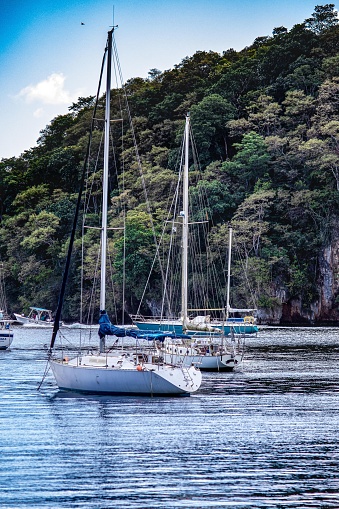 A vertical shot of sailboats at sea with furled sails