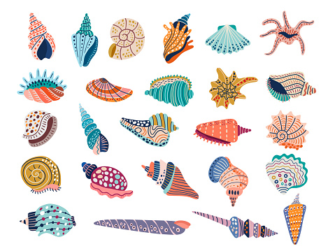istock Doodle seashell. Colored stylized vector illustrations of marine seashells recent pictures set isolated of undersea shell 1464072781