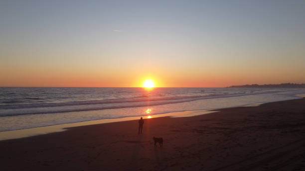 istock Bright sunset reflected on ocean water and a man with his dog walking on a sandy beach 1464075460