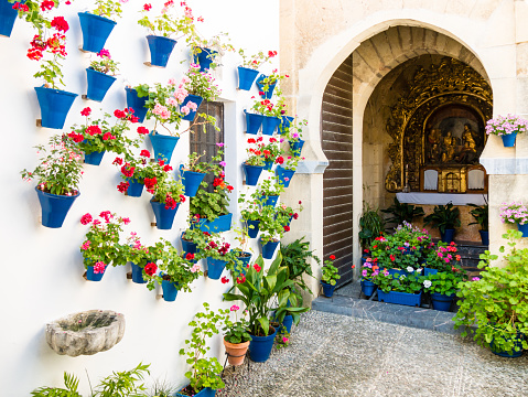 The flowers in flowerpots on the walls on streets of Cordoba, Spain