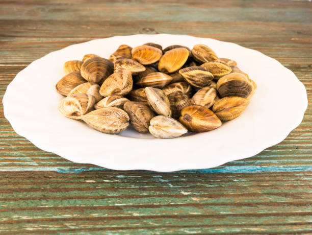 istock Closeup shot of clams on a white plate 1464076239