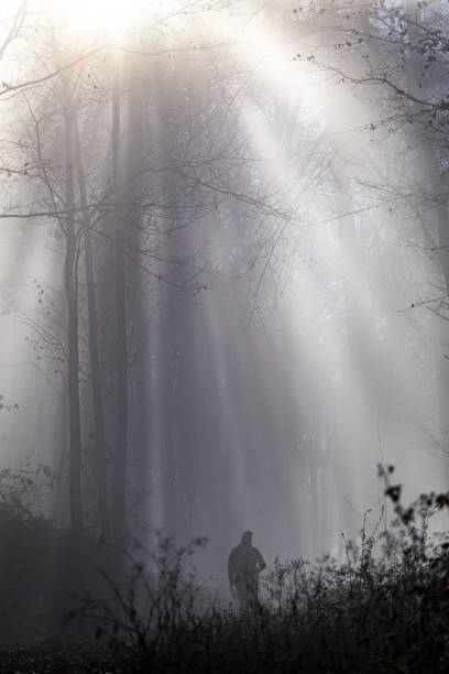 istock Hiker in an autumn forest 1464076698
