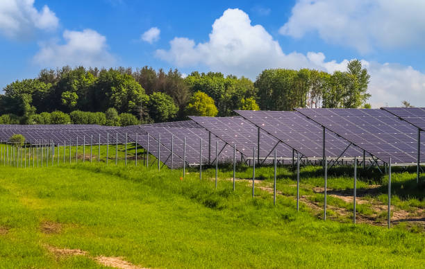 istock Solar panels in a park in Northern Europe 1464079741