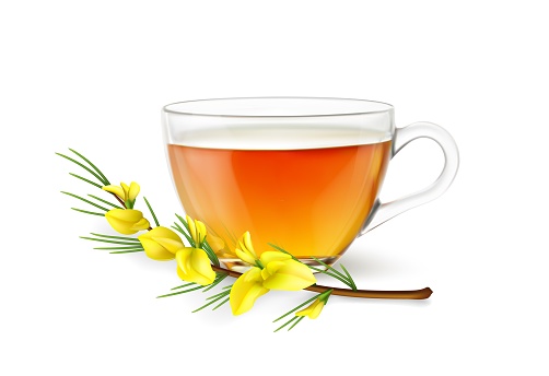 Realistic rooibos tea cup and flower. 3d vector transparent glass mug with fresh hot herbal drink and plant branch with yellow blossoms. Red roibos tea infusion design isolated on white background